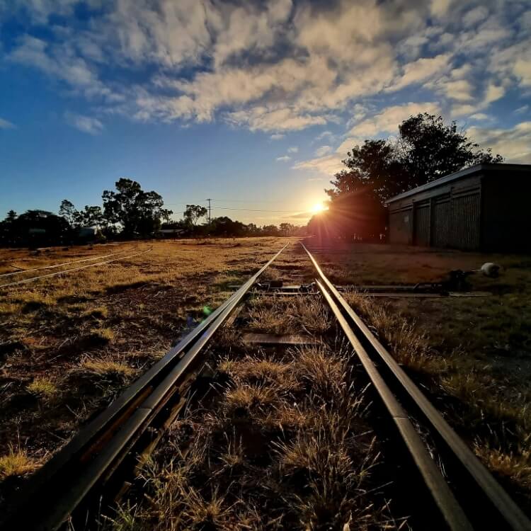 Savannahlander-Intro_ud8gxh