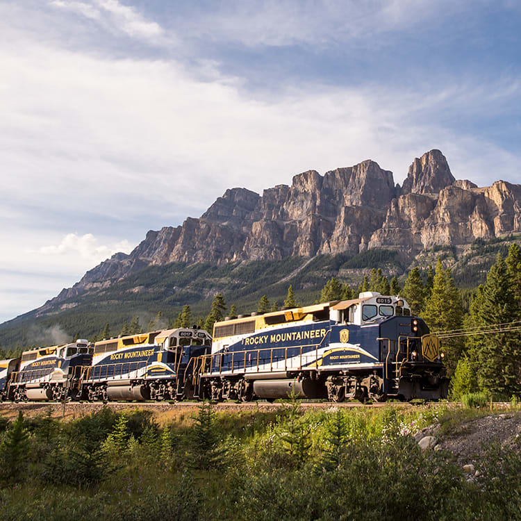 RM_IntroImage_New_vj3jkm